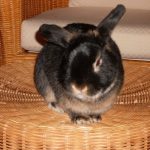 Profilbild von kathrinhedrich